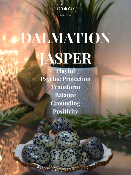 Dalmatian Jasper Tumbled Stone